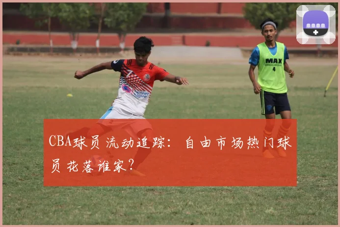 CBA球员流动追踪：自由市场热门球员花落谁家？