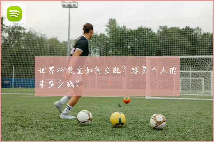 世界杯奖金如何分配?球员个人能拿多少钱?
