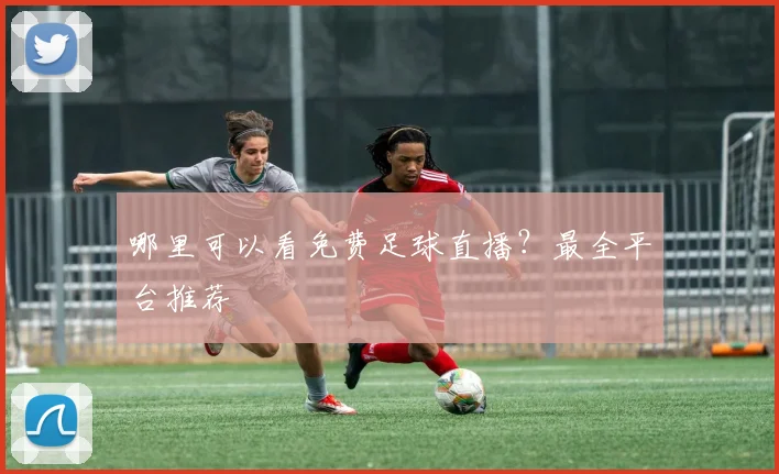 哪里可以看免费足球直播？最全平台推荐