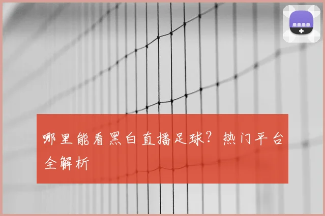 哪里能看黑白直播足球？热门平台全解析