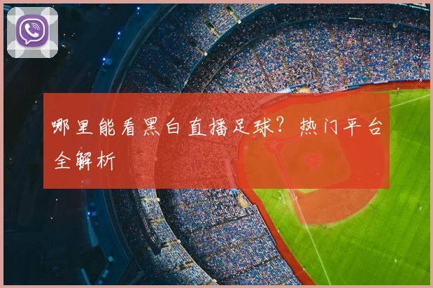 哪里能看黑白直播足球？热门平台全解析