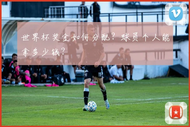 世界杯奖金如何分配?球员个人能拿多少钱?